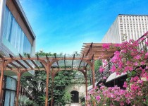 38 lô cà phê Việt Nam đạt tiêu chuẩn cà phê đặc sản thế giới